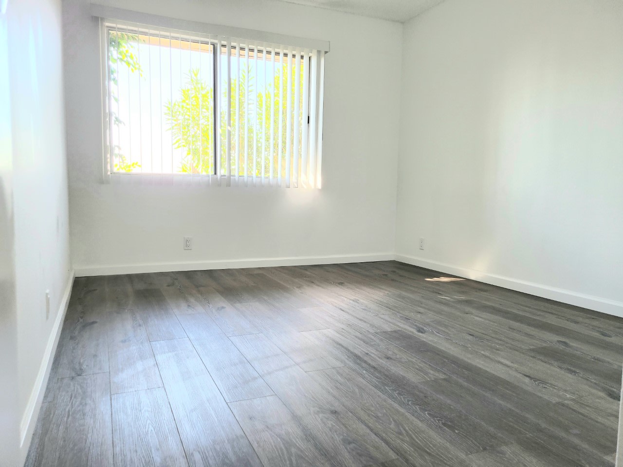 Annandale Terrace Image 15