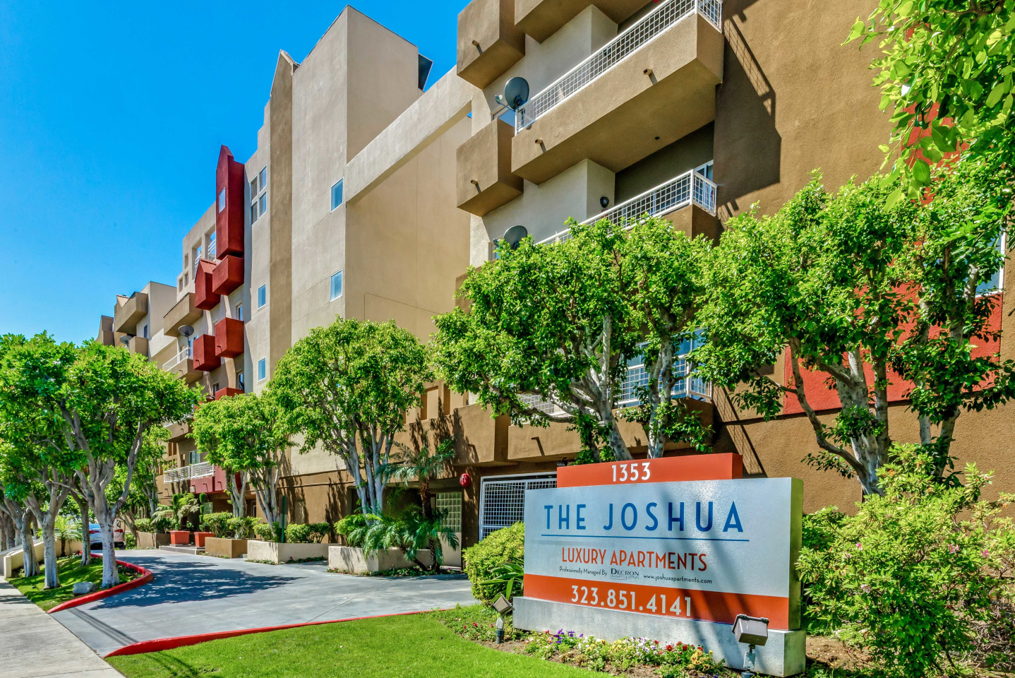 The Joshua Image 1