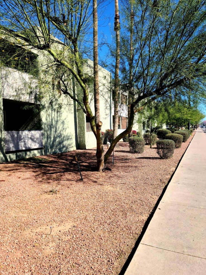 Papago View Apartments Image 19