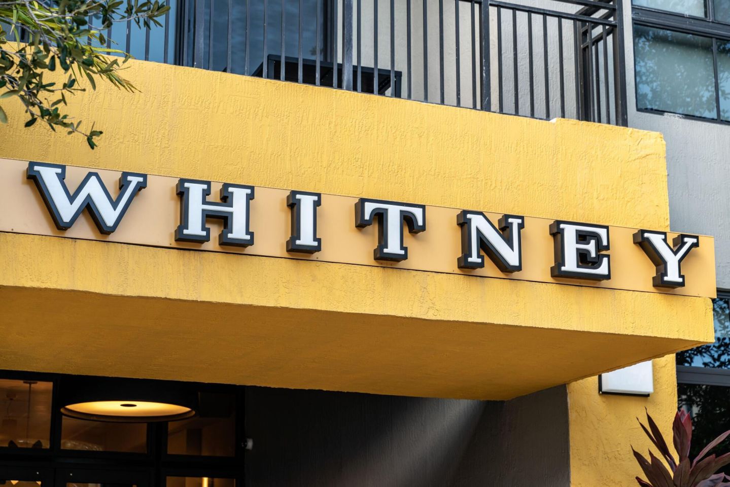 The Whitney Image 44