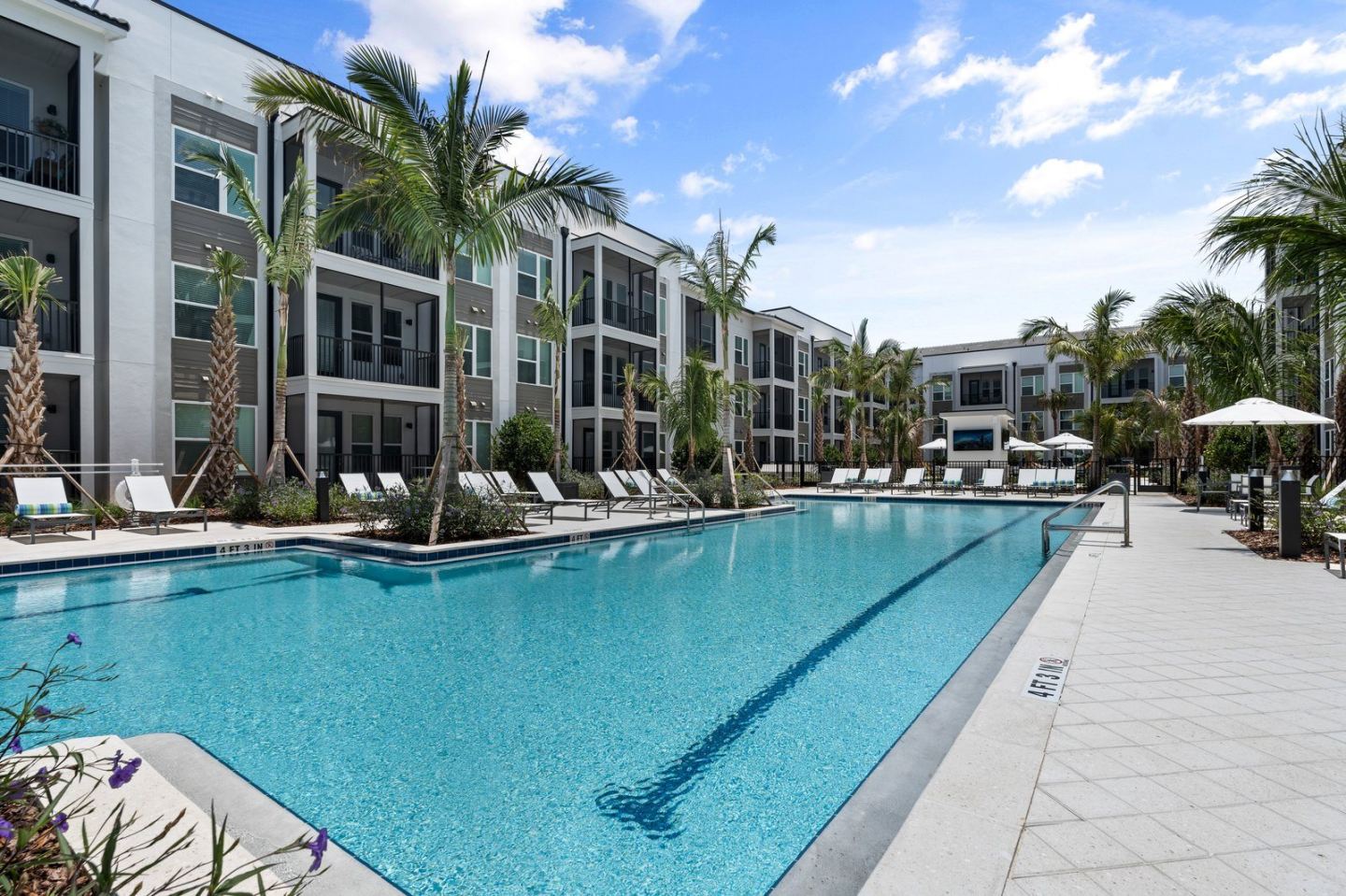 Mira at Palmer Ranch- 55+ Active Living Community Image 3