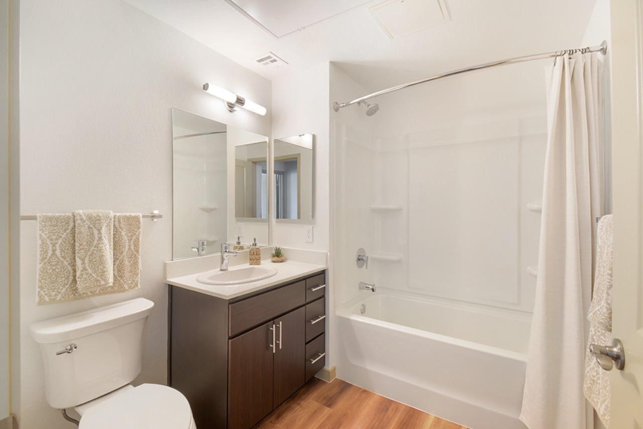 59 Evergreen Image 30