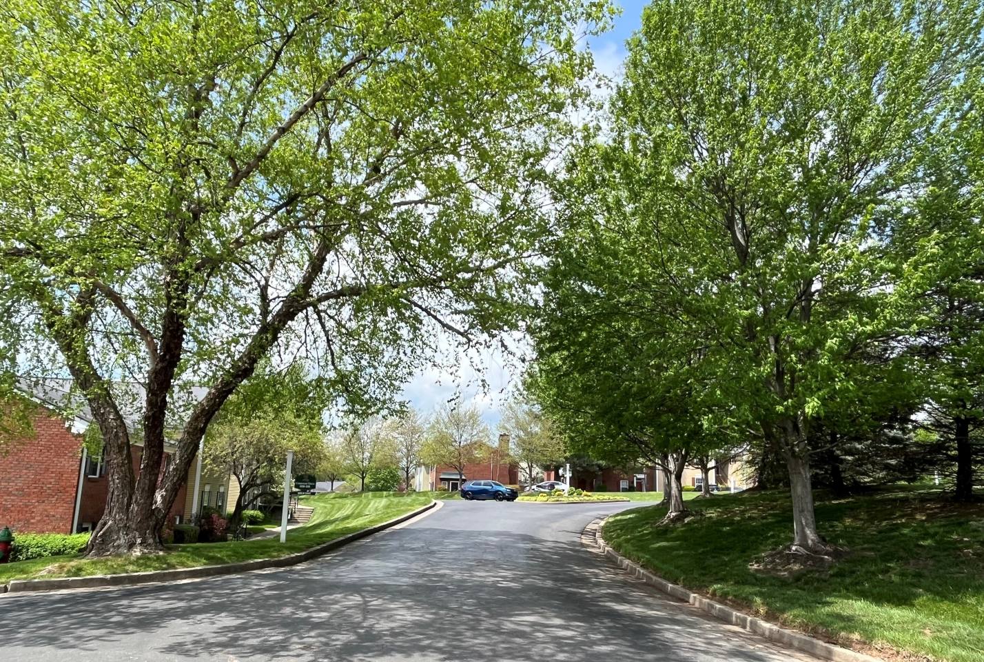 Merrick Place Image 62