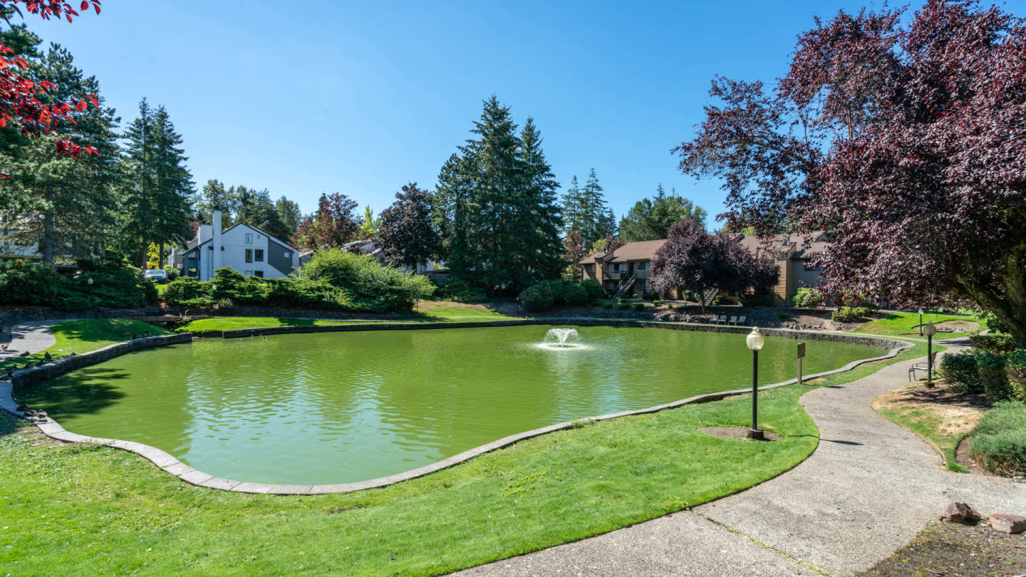 Bellevue Meadows Image 31