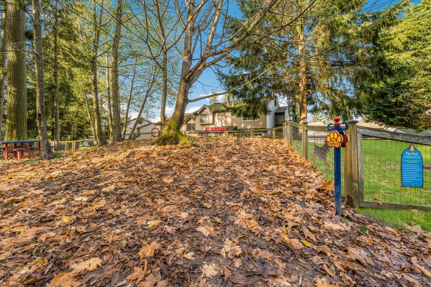 Arcadia Townhomes Image 30