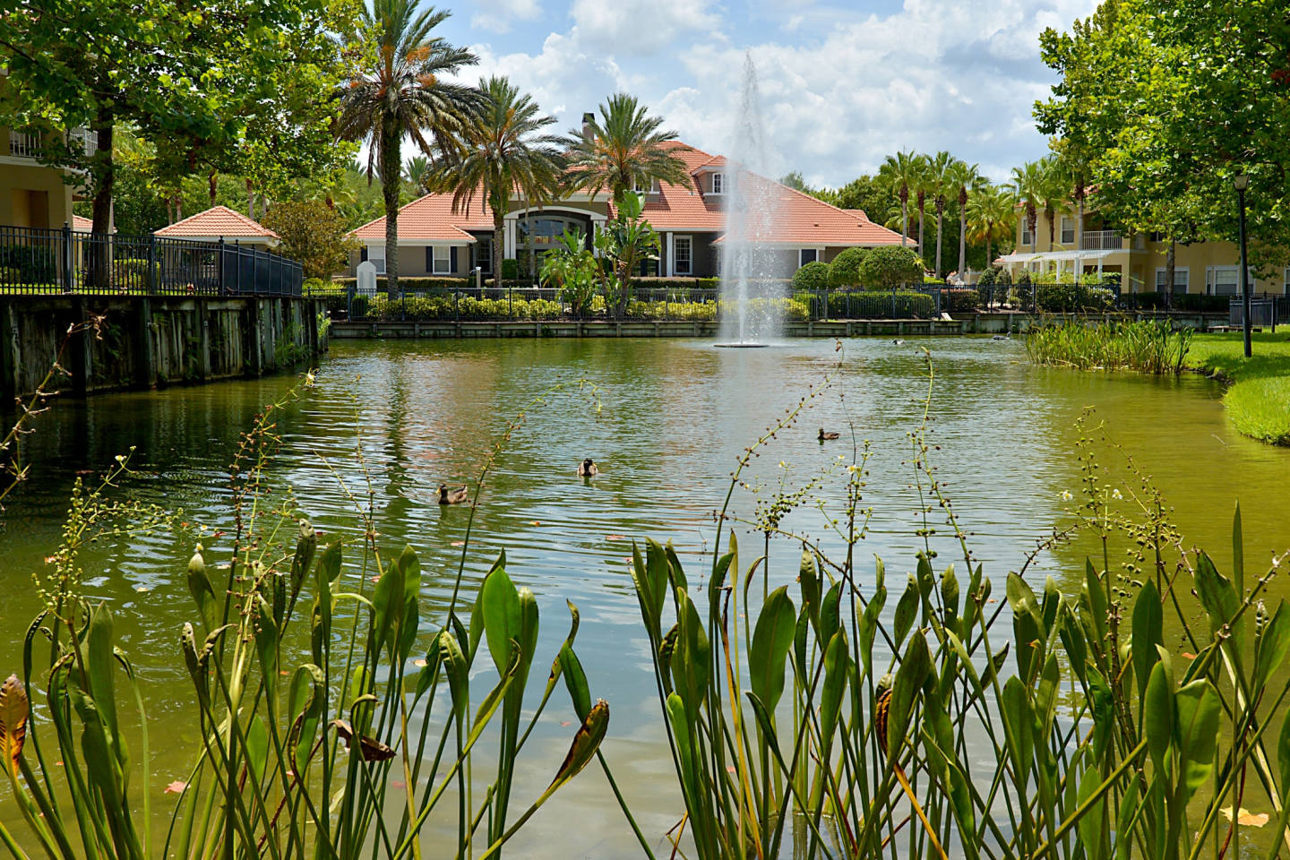 Arbor Lakes Image 3
