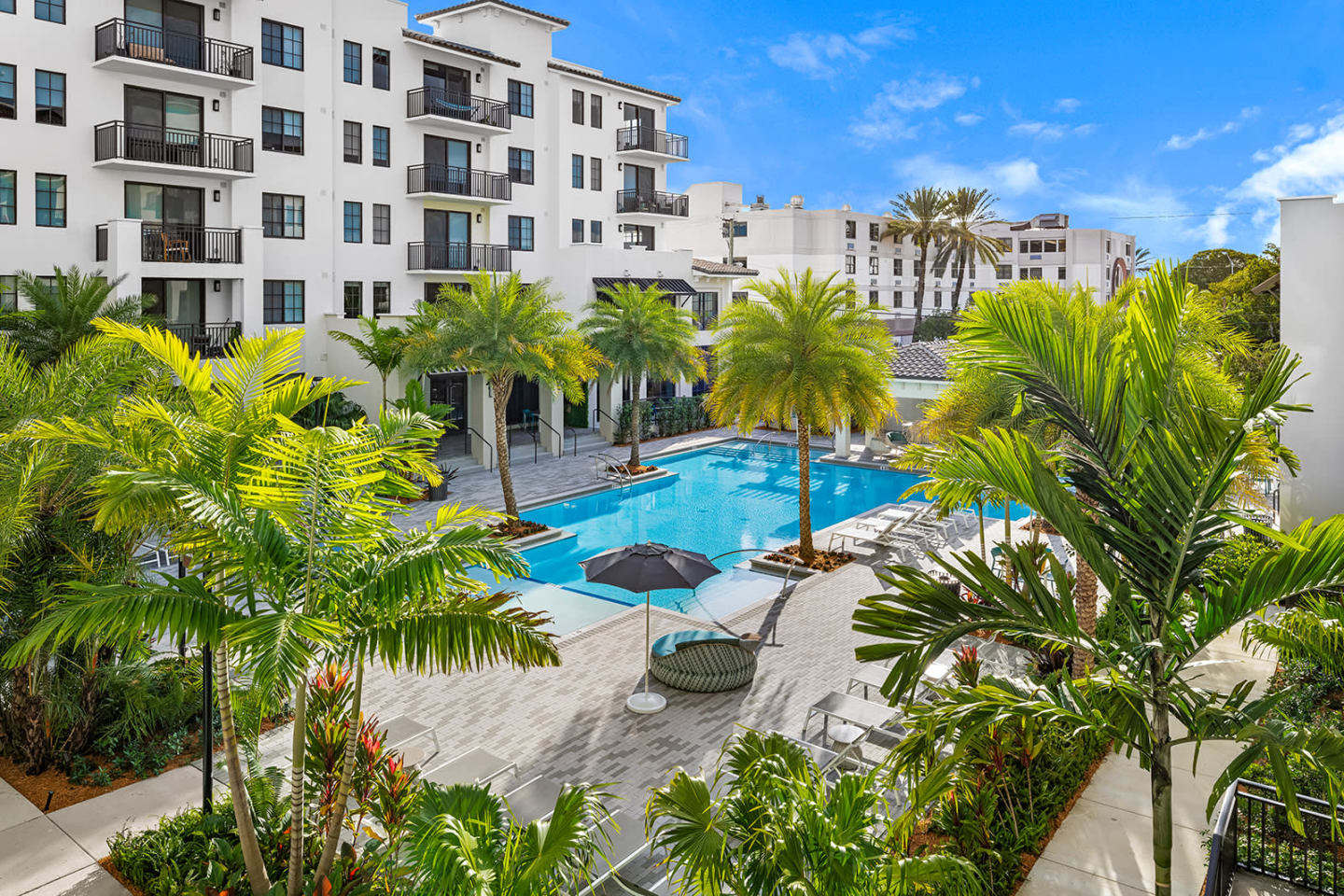 Indigo Palmetto Bay Image 8