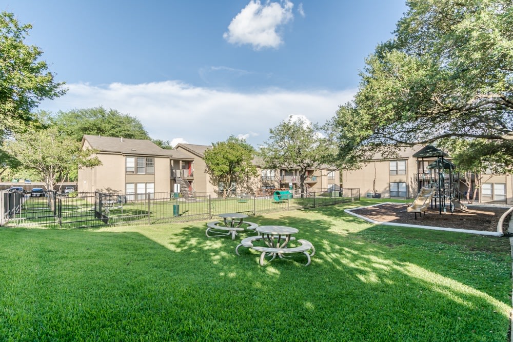 The Colony Image 26