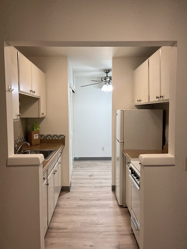 Webster Terrace II Image 3