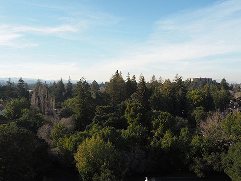 Ryan Tower Image 26