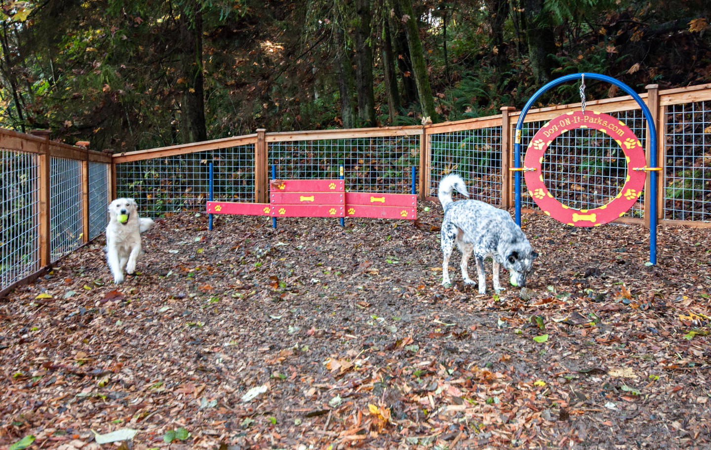 Lakemont Orchard Image 28