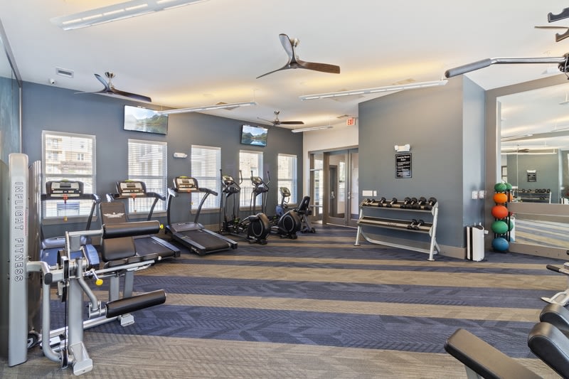 McKinney Pointe Image 17