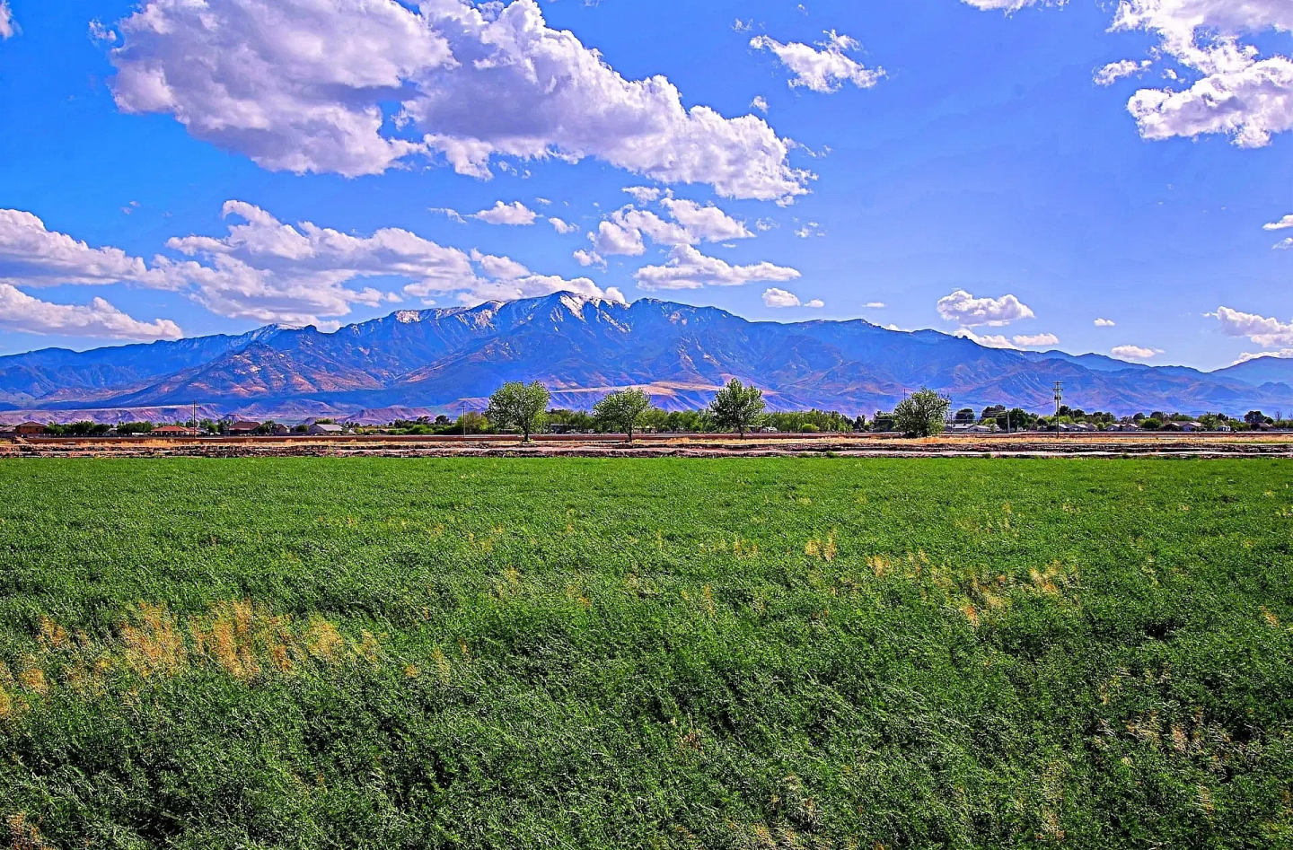 Madrean Vista Image 11