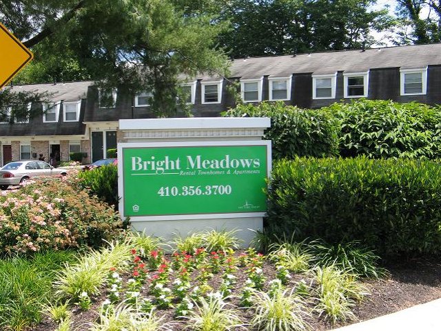 Bright Meadows Image 21