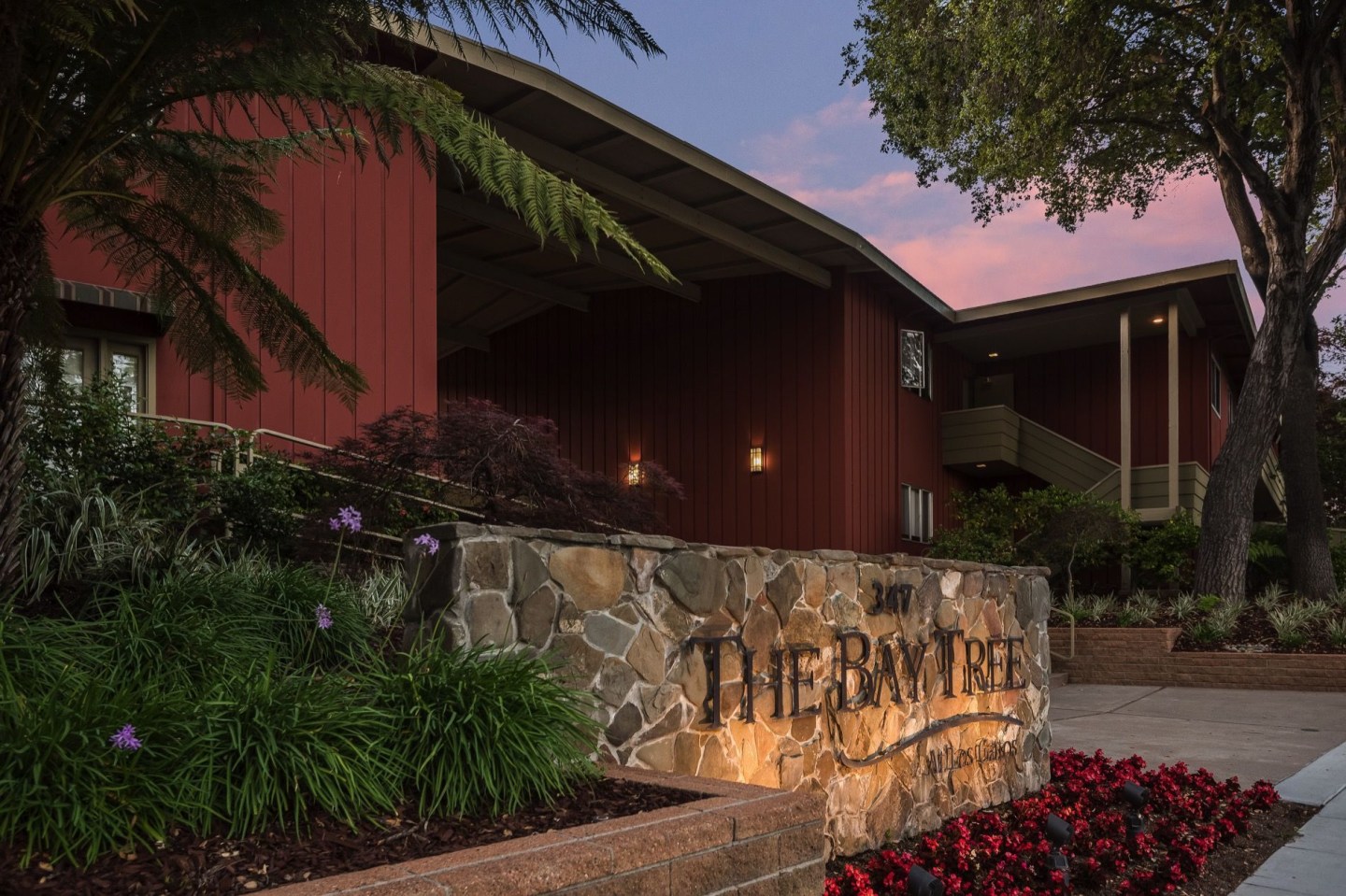 Bay Tree Image 14