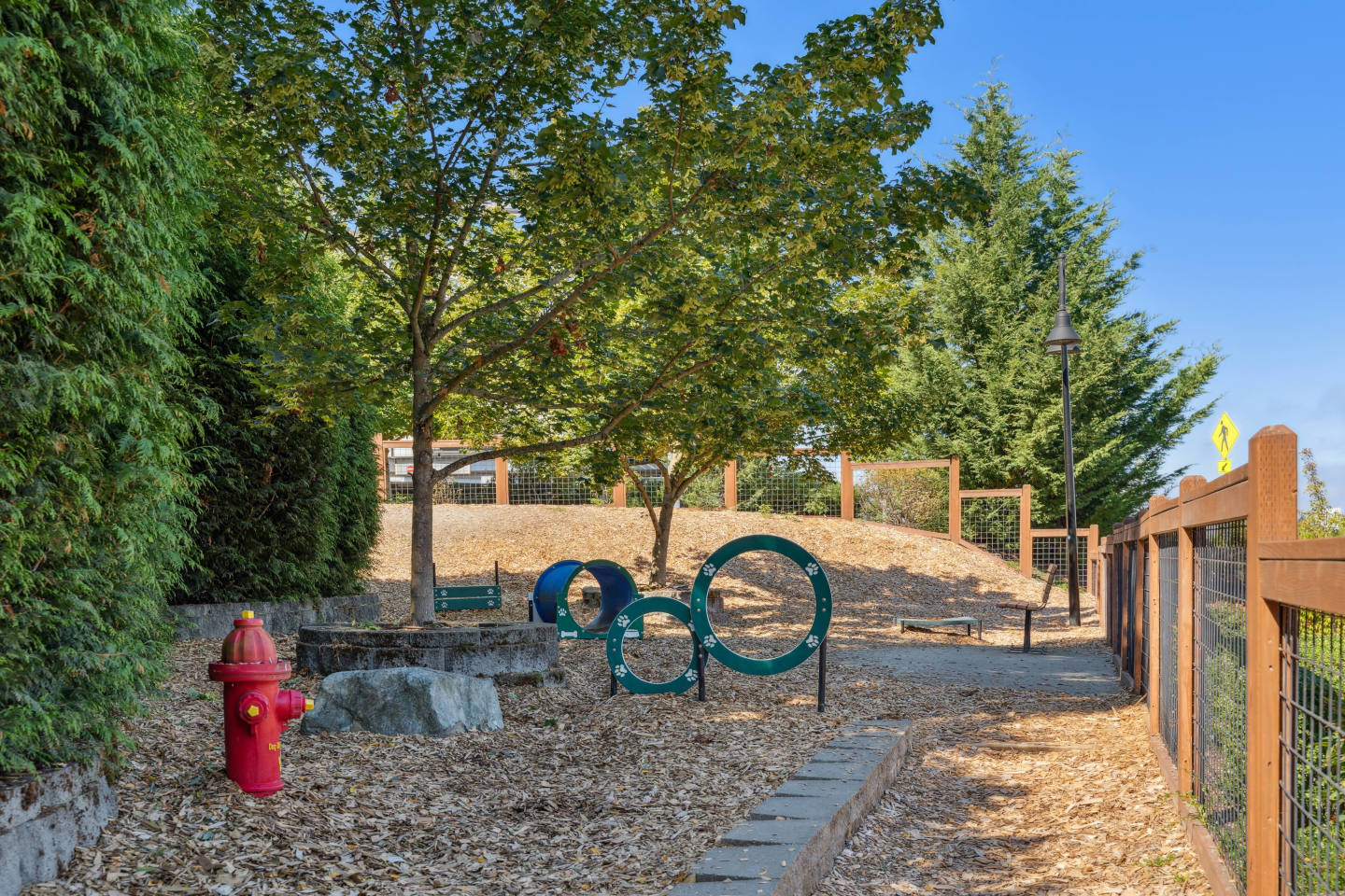 Vue Issaquah Image 19