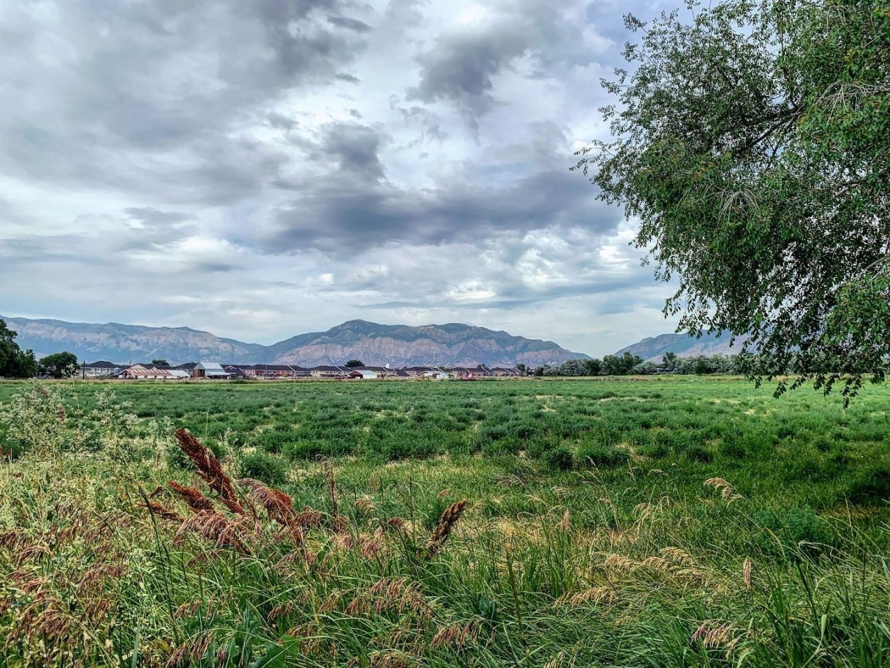 Claradon Village Image 14