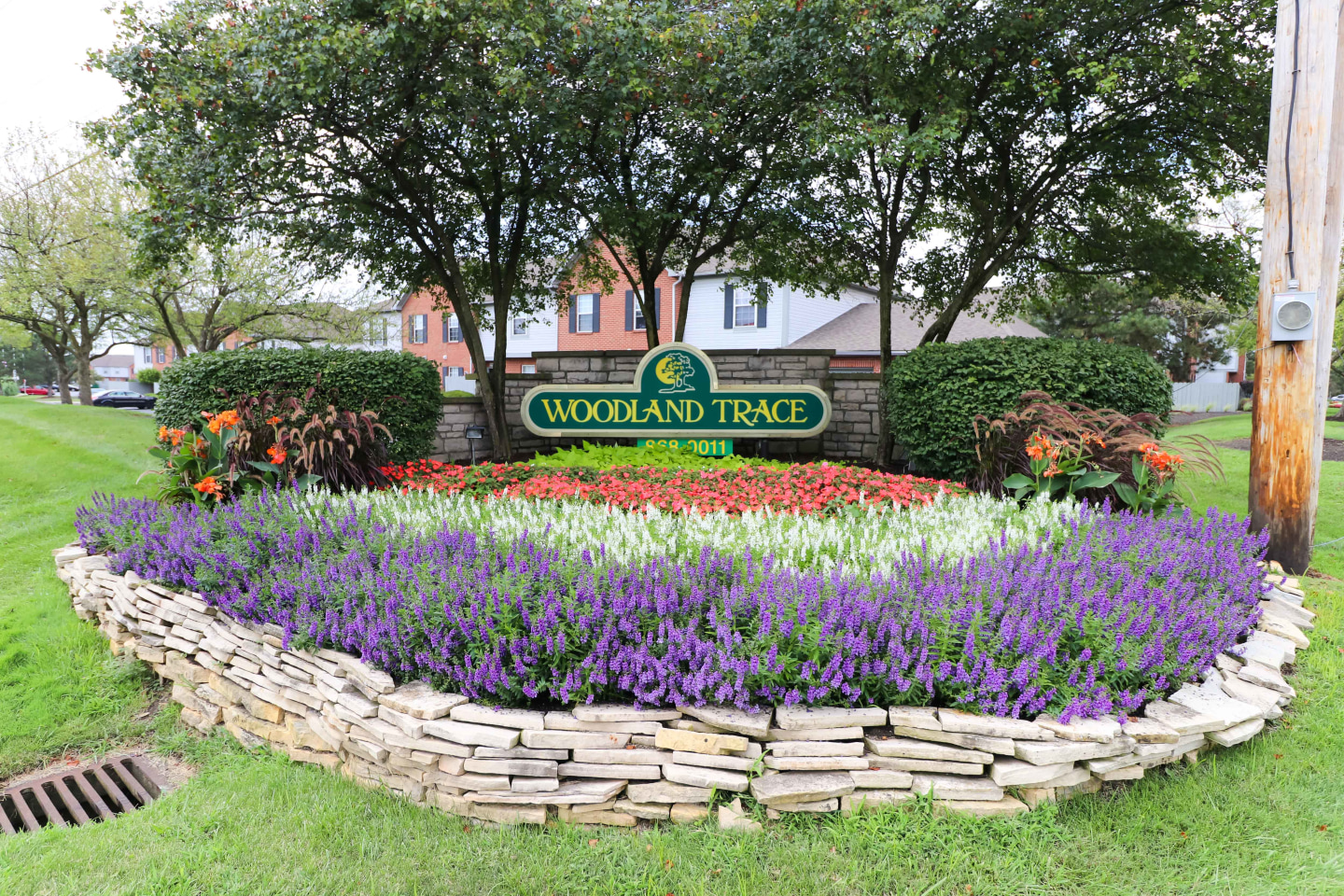 Woodland Trace Image 5