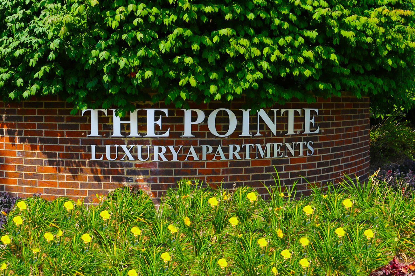 The Pointe Image 26