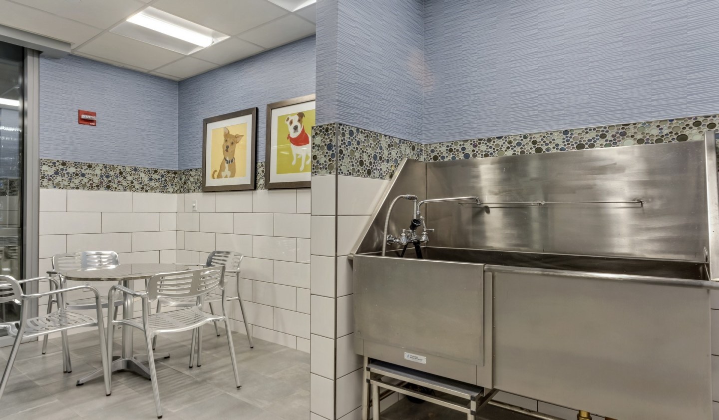Vivo Apartment Homes Image 15