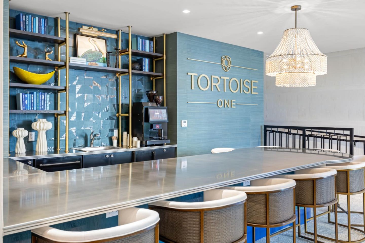 Tortoise One Image 30