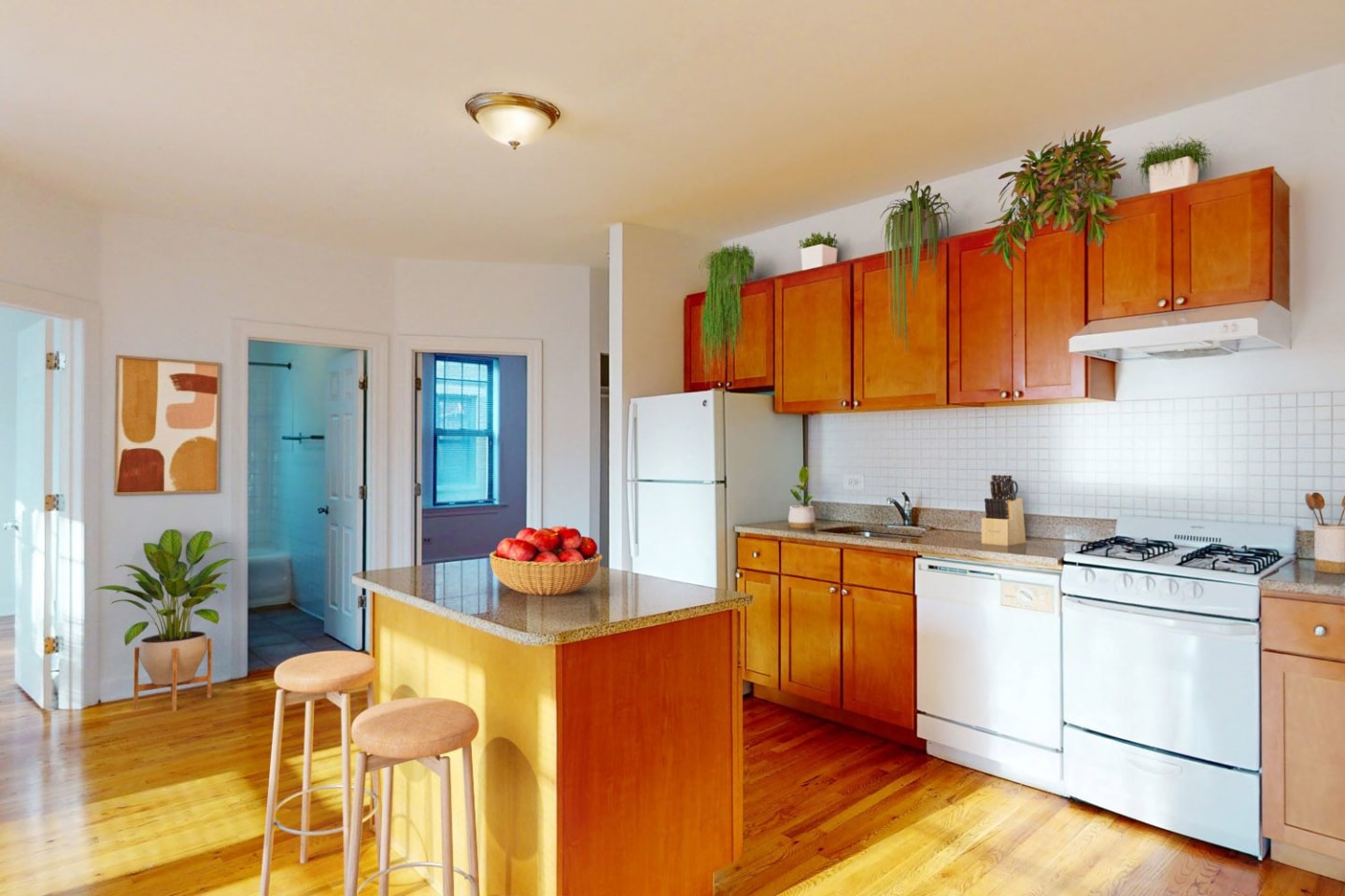 Woodlawn Court Image 1