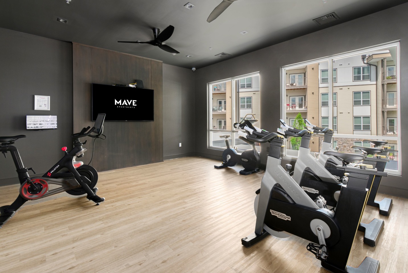 The Mave Image 22