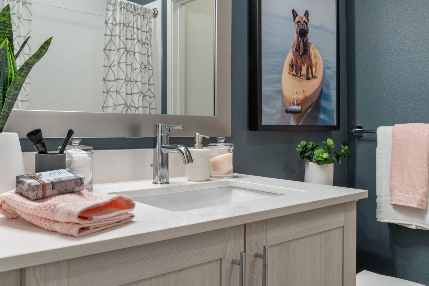 Essex Luxe Apartments Image 33