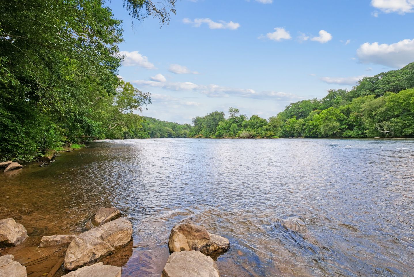 Elme Sandy Springs Image 41