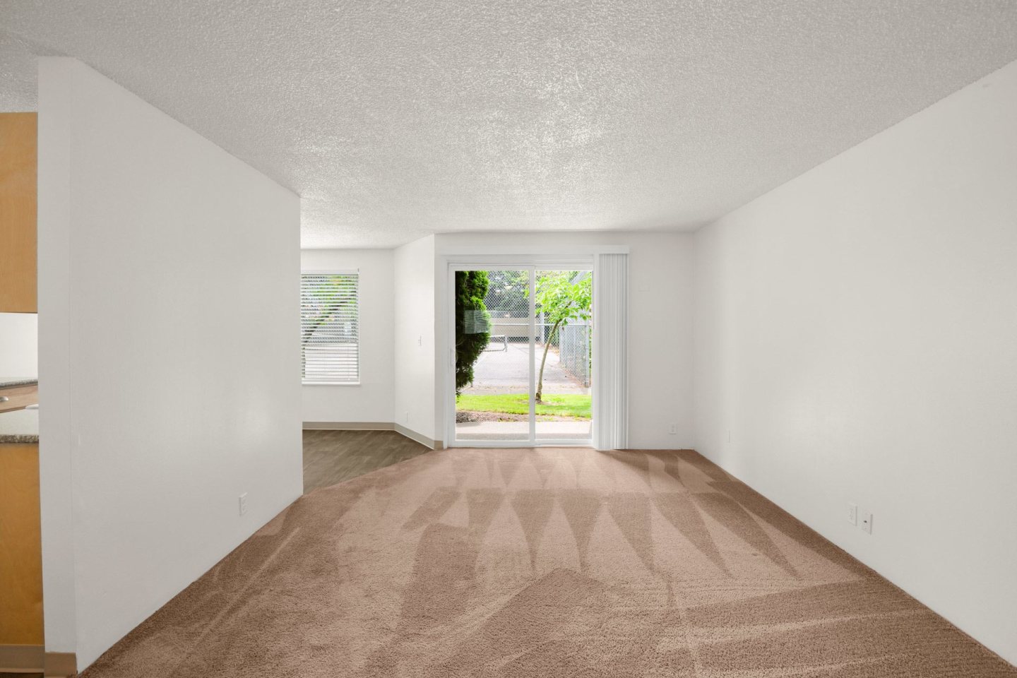 Centennial Image 31