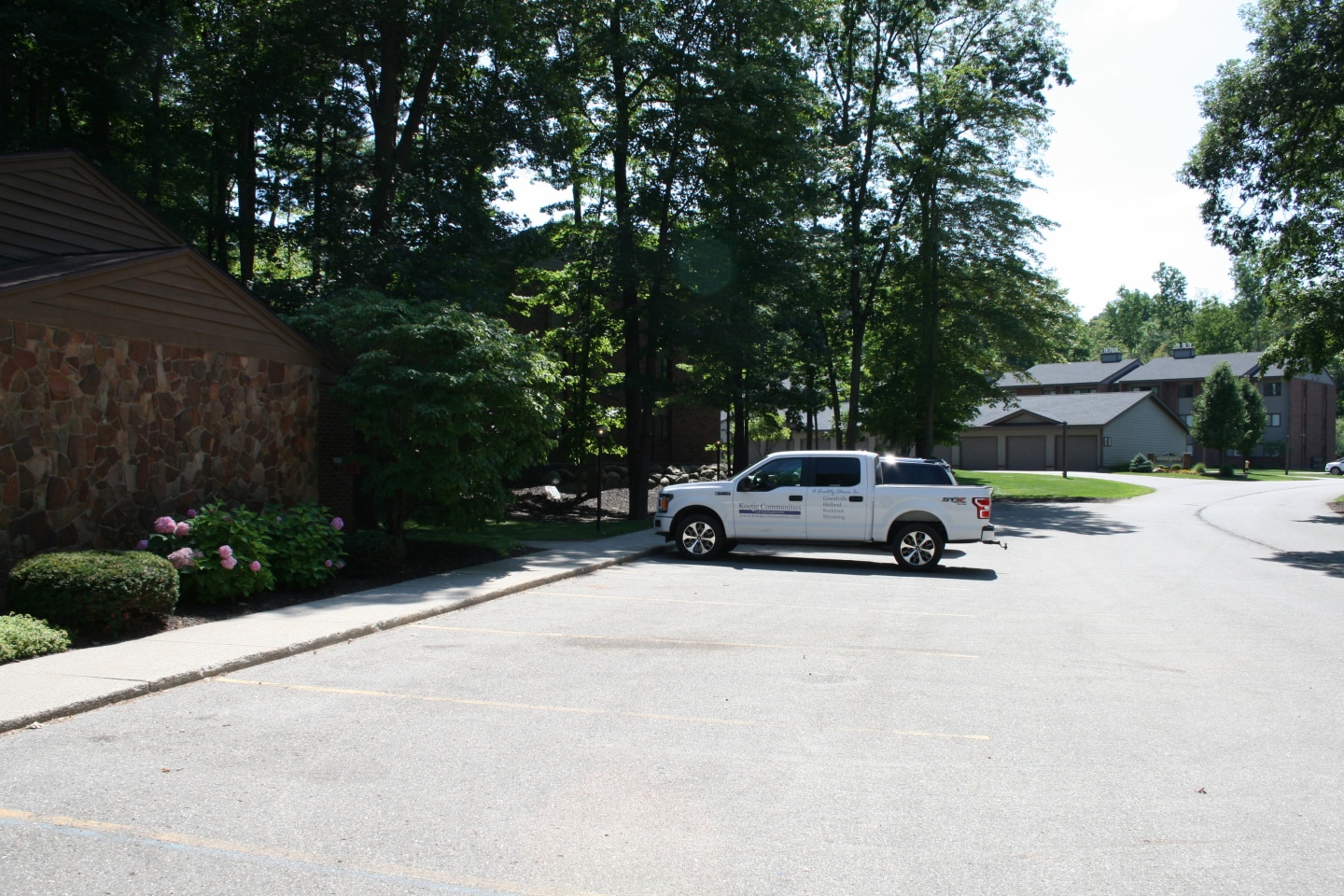 Deer View Image 92
