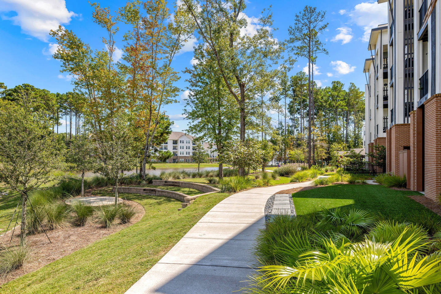 Active Adult 55+ - Restore at Carolina Park Image 27