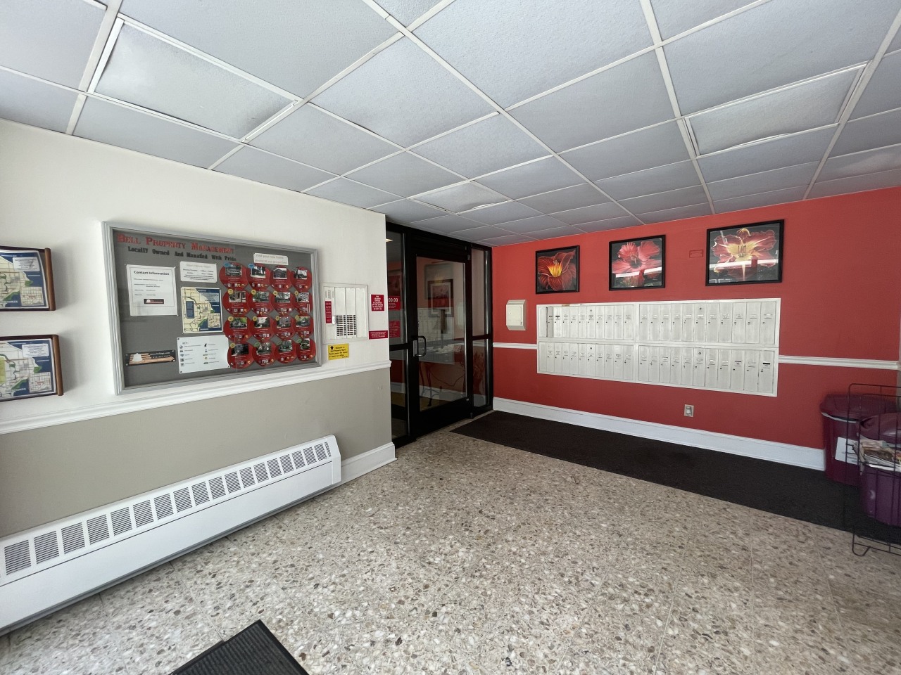 Webster Terrace II Image 1