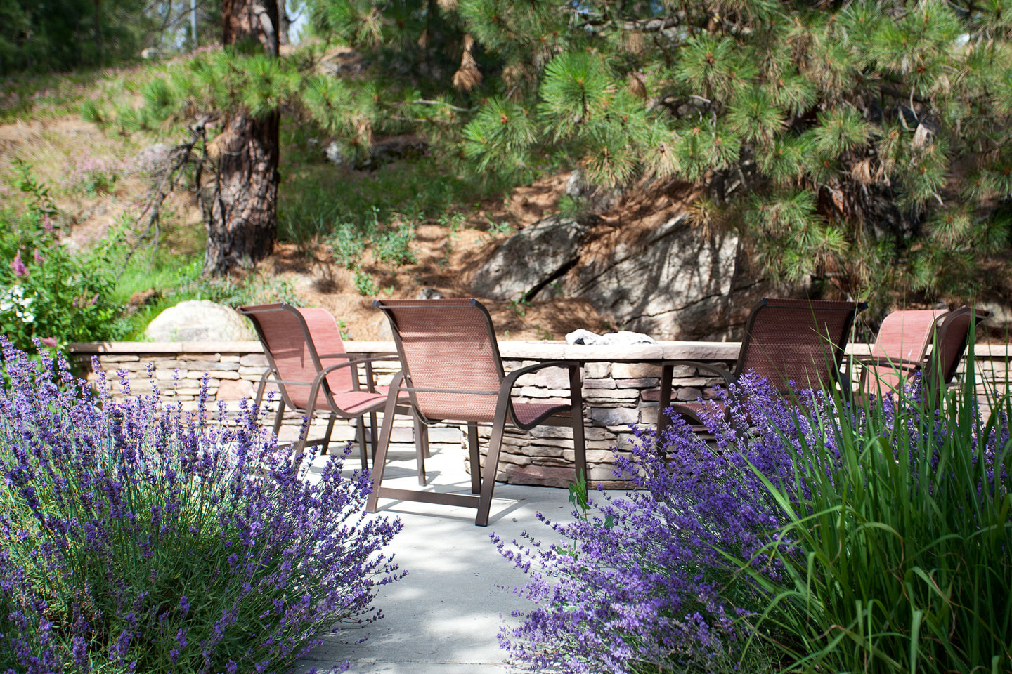 Pine Valley Ranch Image 22