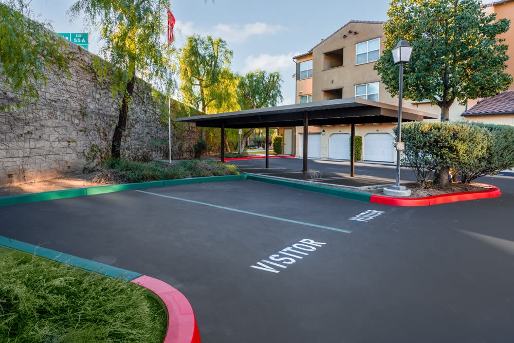 Paseos At Magnolia Luxury Apartment Homes Image 3