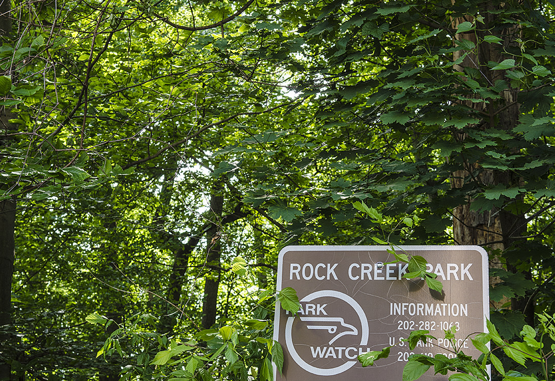 Park Crest Image 23