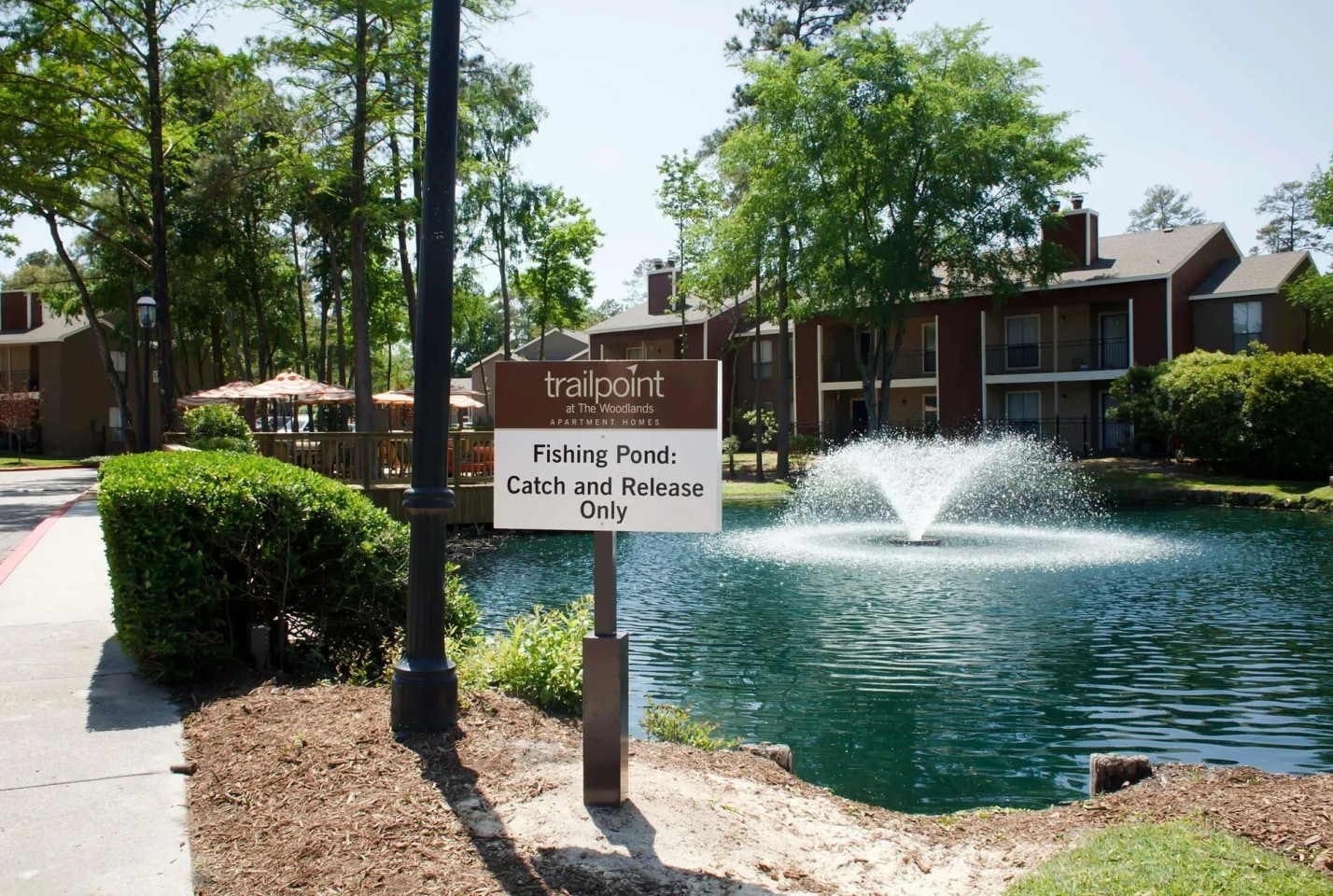 Trailpoint at the Woodlands Image 27
