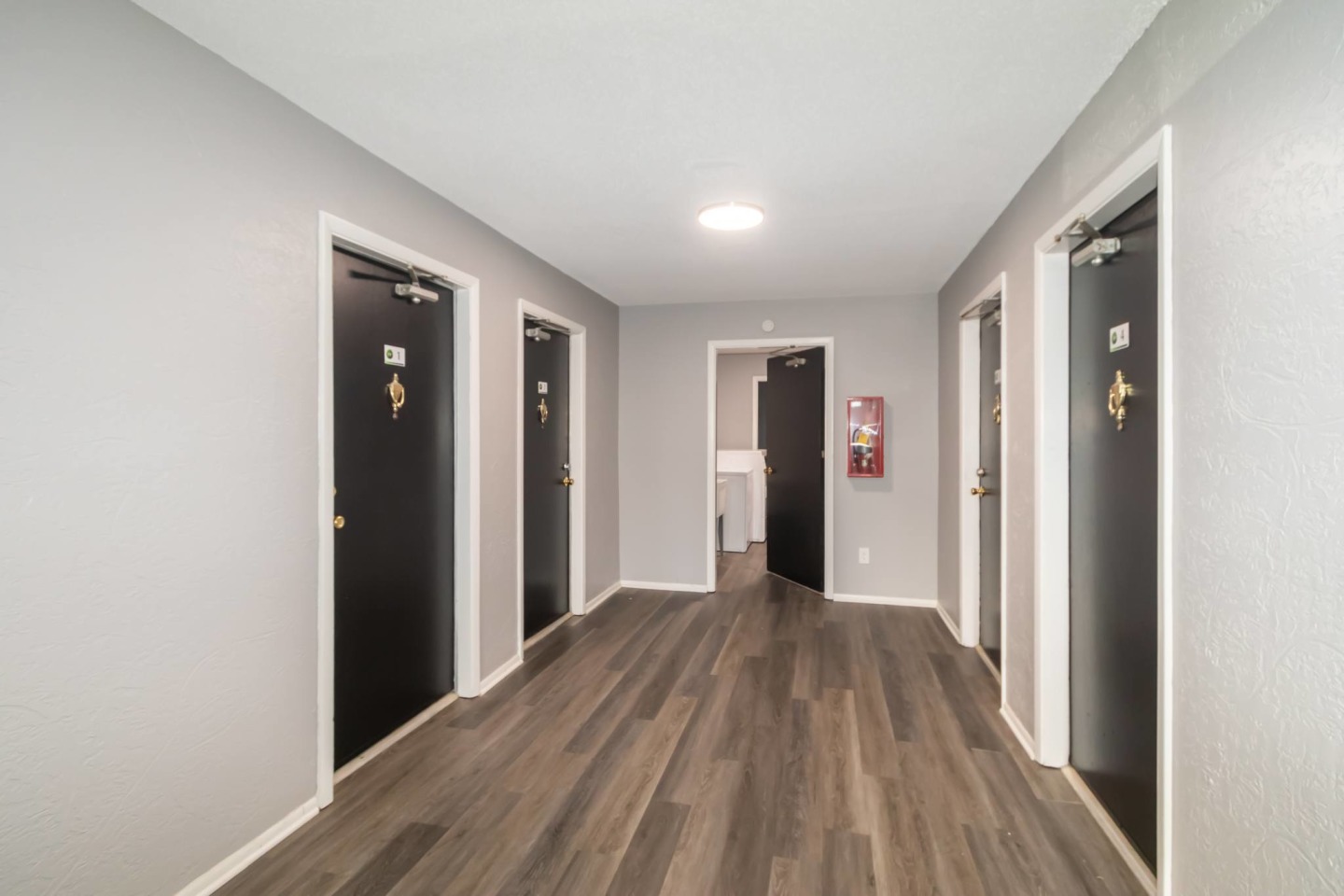 Paragon Park Image 10