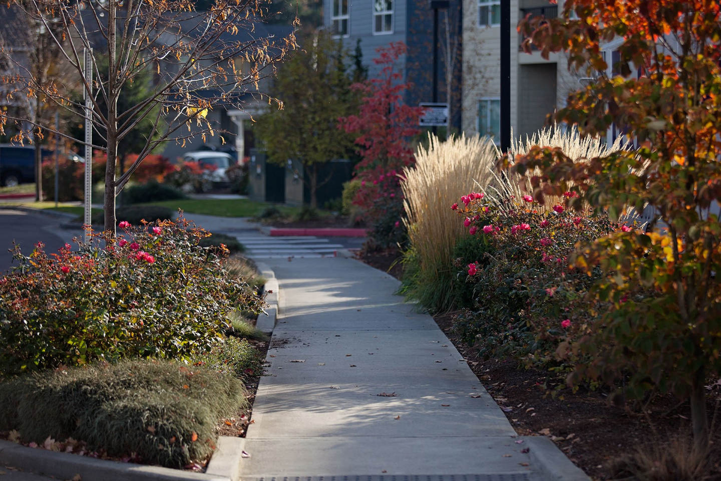 Portera at the Grove Image 33