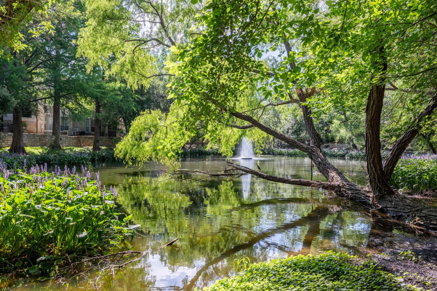 Gables Town Lake Image 29
