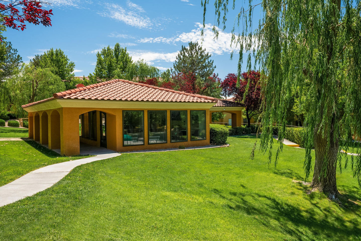 La Paloma Image 4