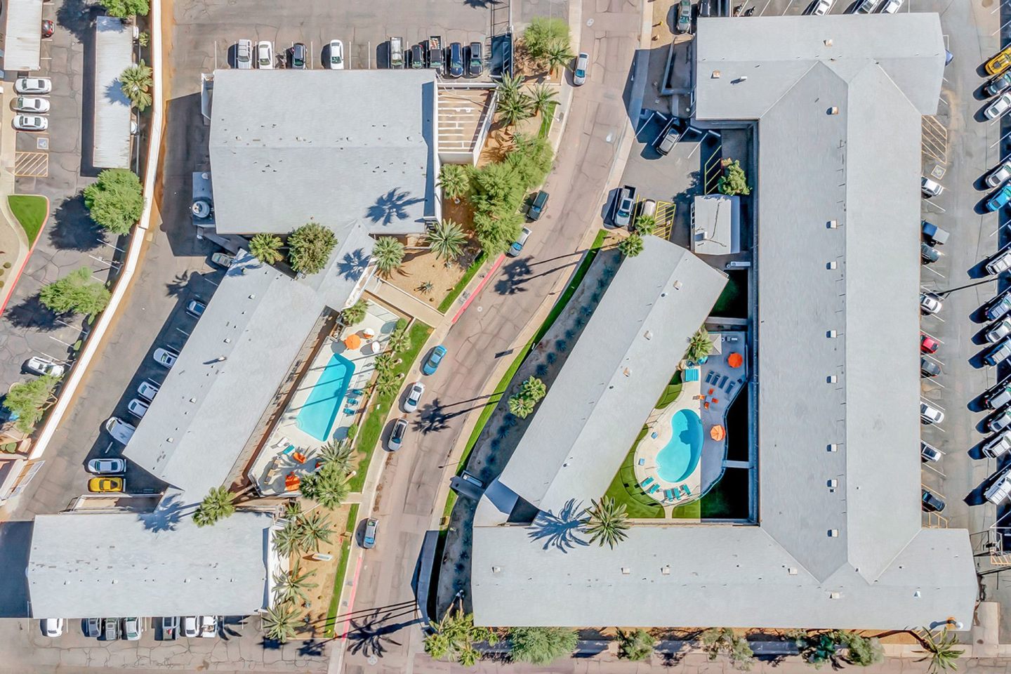 Thrive Tempe Image 5