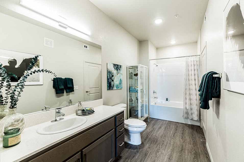 Rise Apartment Homes Image 11