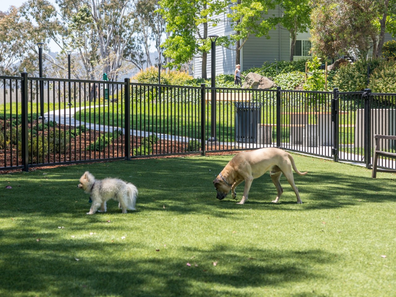 Serenity at Larkspur Image 14