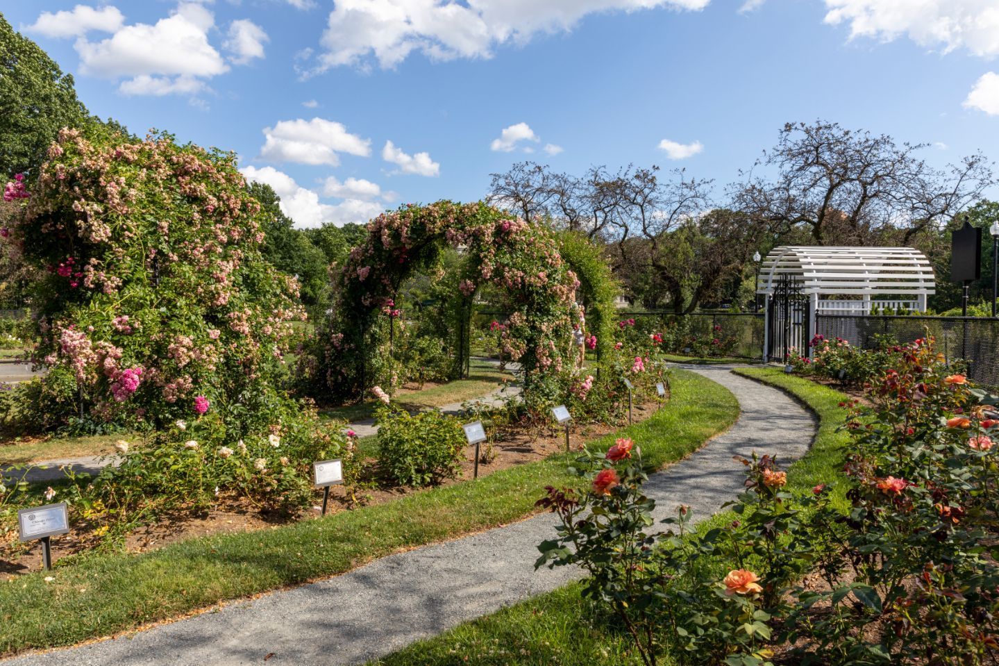 CityView at Longwood Image 78