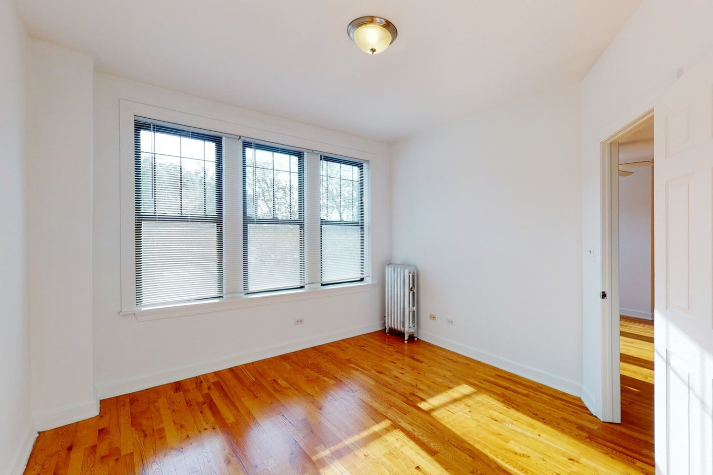 Woodlawn Court Image 5