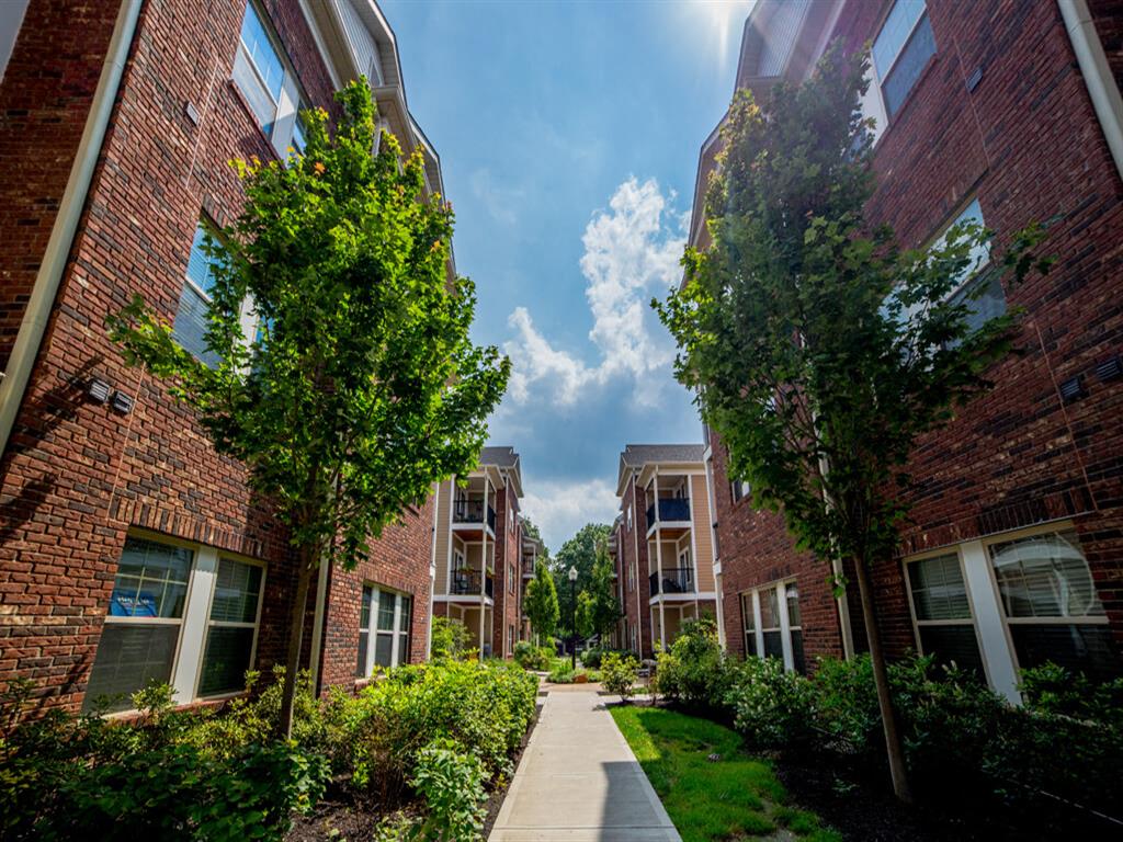 Monon Living Image 48