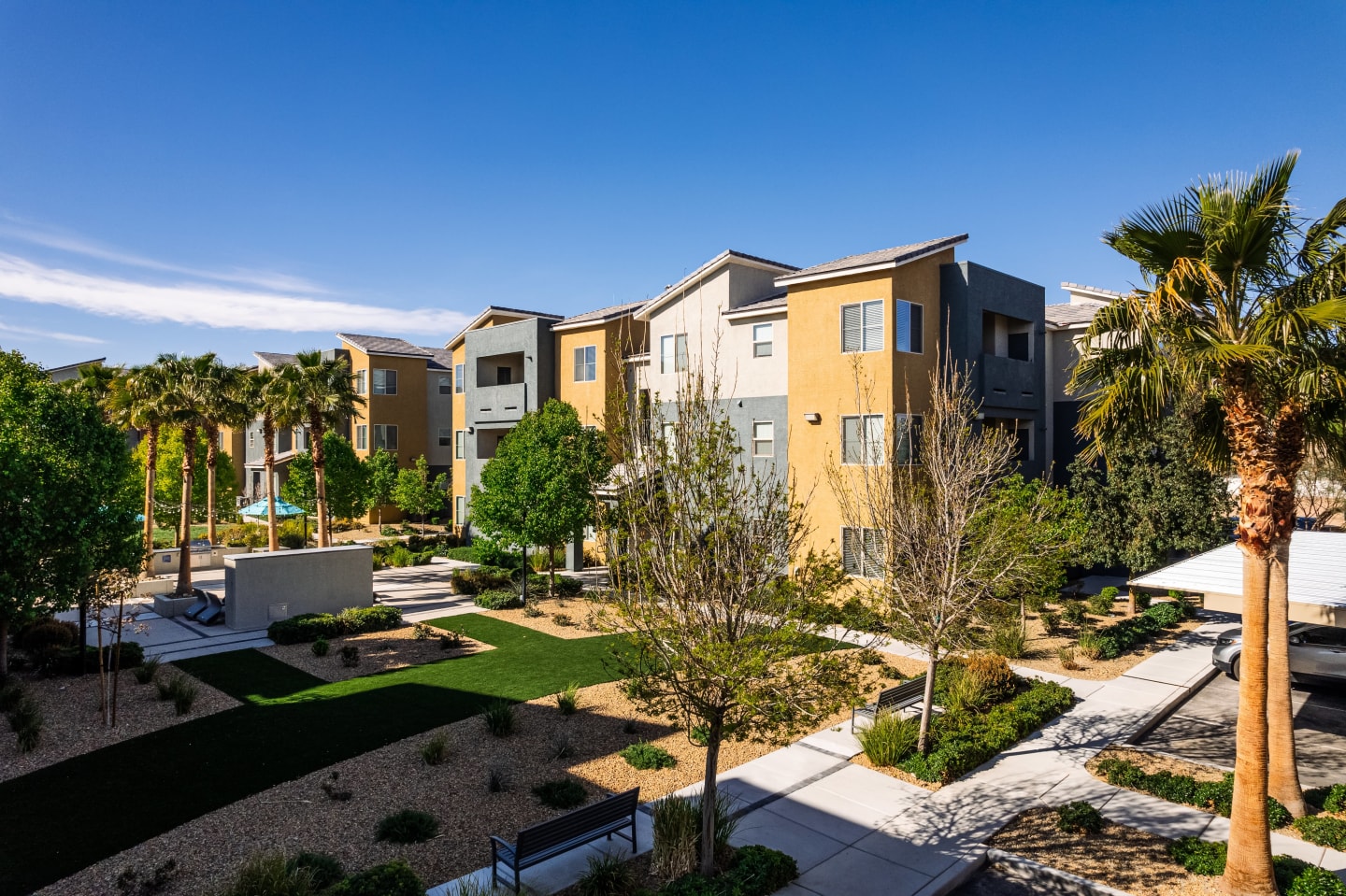 Solana Image 31