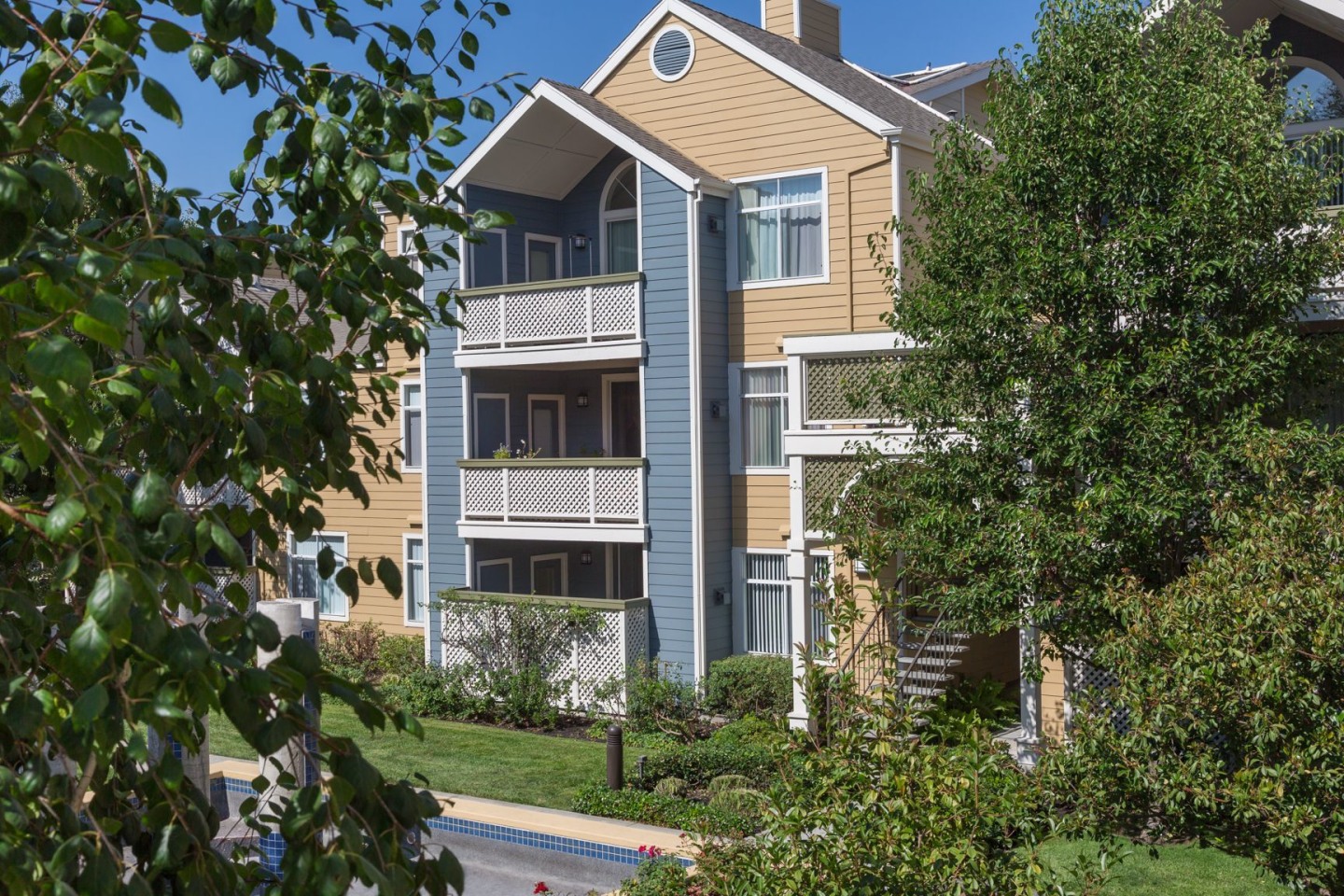 Woodland Meadow Image 11