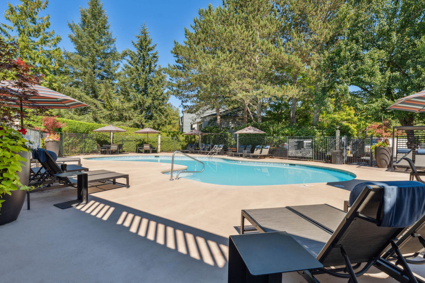 Madison Sammamish Image 10